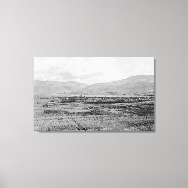 Wenatchee, WA Town View och Orchard Photography Canvastryck (Framsida)