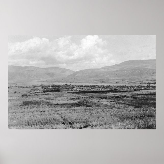 Wenatchee, WA Town View och Orchard Photography Poster (Framsidan)