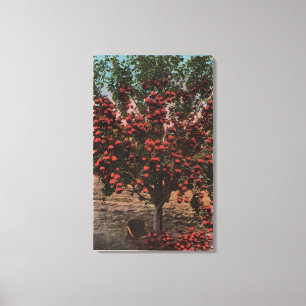 Wenatchee, WAA Wenatchee Valley Apple Träd Canvastryck