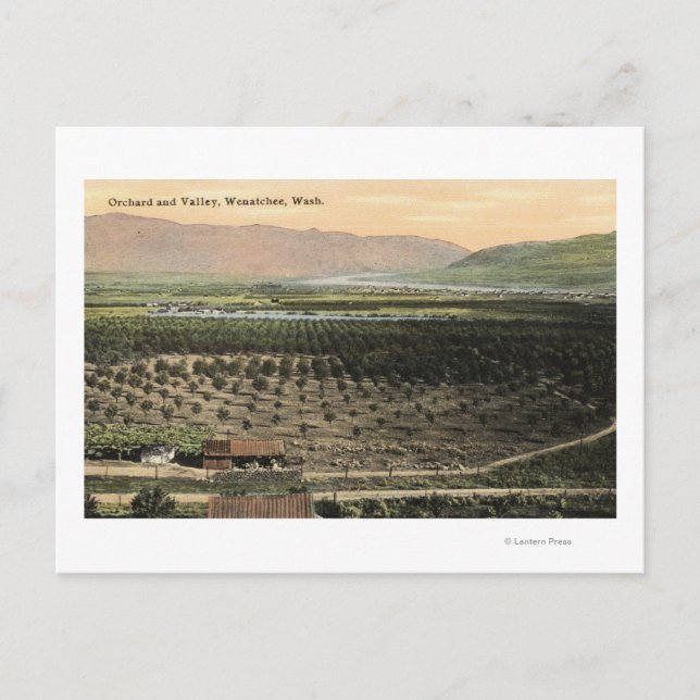 Wenatchee, Washington Aerial View of a Orchard Vykort (Framsida)