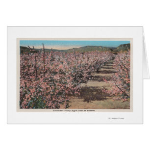 Wenatchee, WAView of Apple Träd i Blommar Hälsningskort