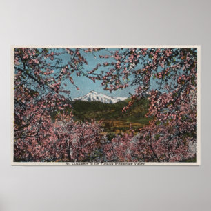 Wenatchee, WAView of Mt. Cashmere med Träd Poster