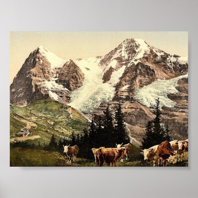 Wengern, Monch och Eiger, Bernese Oberland, Switze Poster (Framsidan)