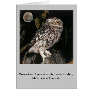 Wer einen Freund sucht..... OBS Kort