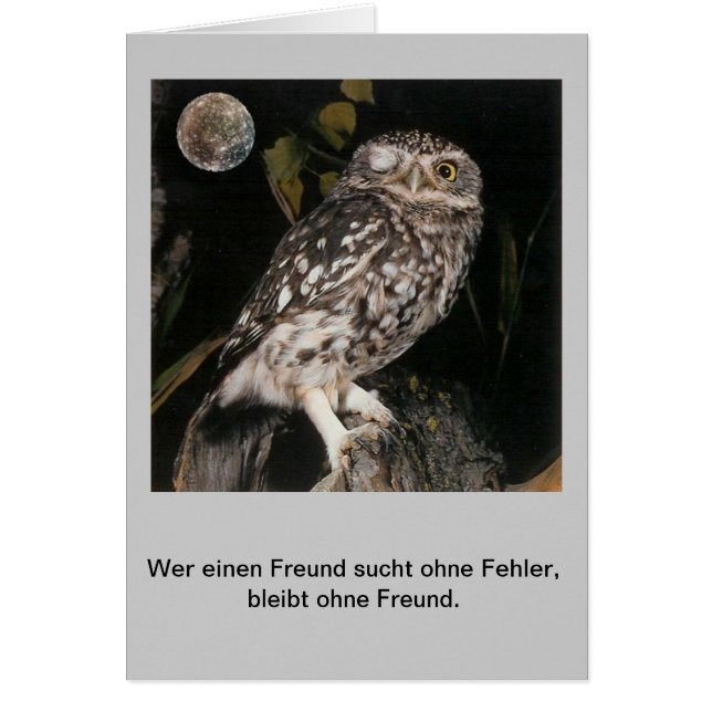 Wer einen Freund sucht..... OBS Kort (Framsidan)