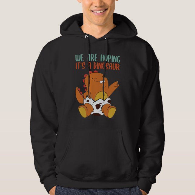 We're Hoping For A Dinosaur Expectations Hoodie (Framsida)