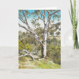 Werribee River Gum - Tack Kort