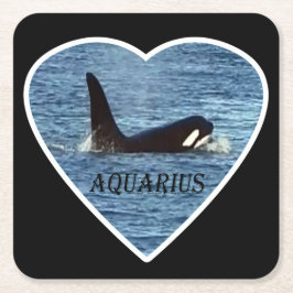 West Coast Späckhuggare "Aquarius" Orca Coaster Underlägg Papper Kvadrat
