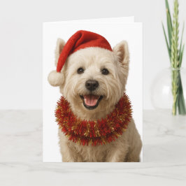 West Highland Terrier Christmas card Kort