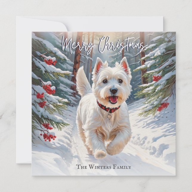 West Highland Terrier Hund Westie I Snö Jul Julkort (Framsida)
