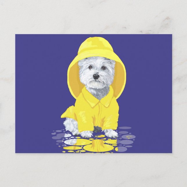 West Highland White Terrier April Showers Vykort (Framsida)