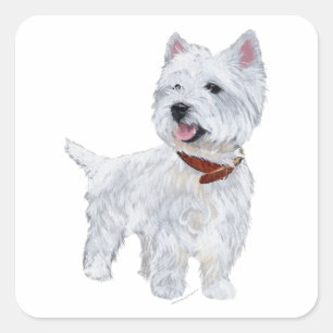 West Highland White Terrier Fyrkantigt Klistermärke