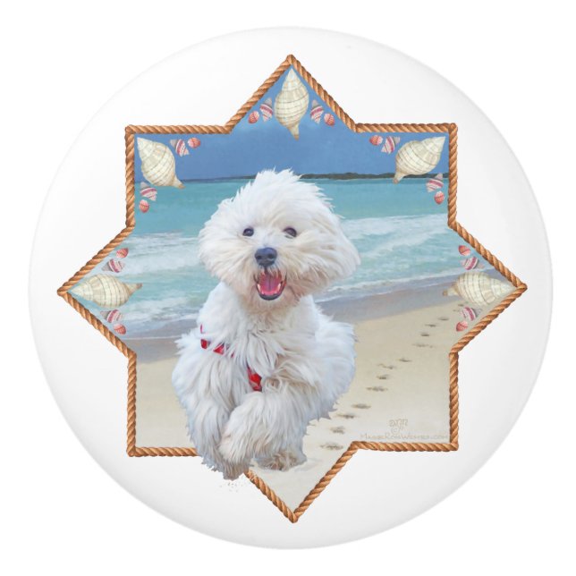West Highland White Terrier Knopp (Framsidan)