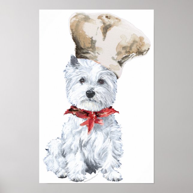 West Highland White Terrier Kock Affisch (Framsidan)