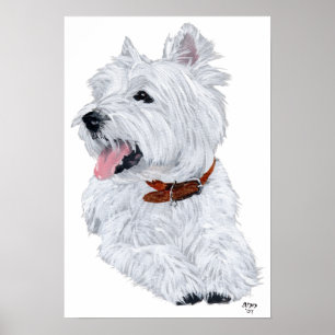 West Highland White Terrier Kock Affisch