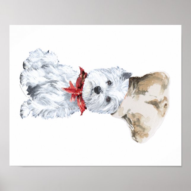West Highland White Terrier Kock Poster (Framsidan)