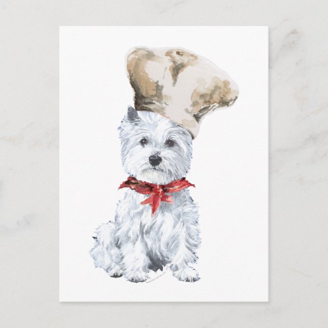 West Highland White Terrier Kock Vykort (Framsida)