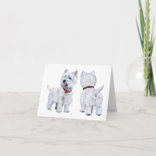 West Highland White Terrier Kort