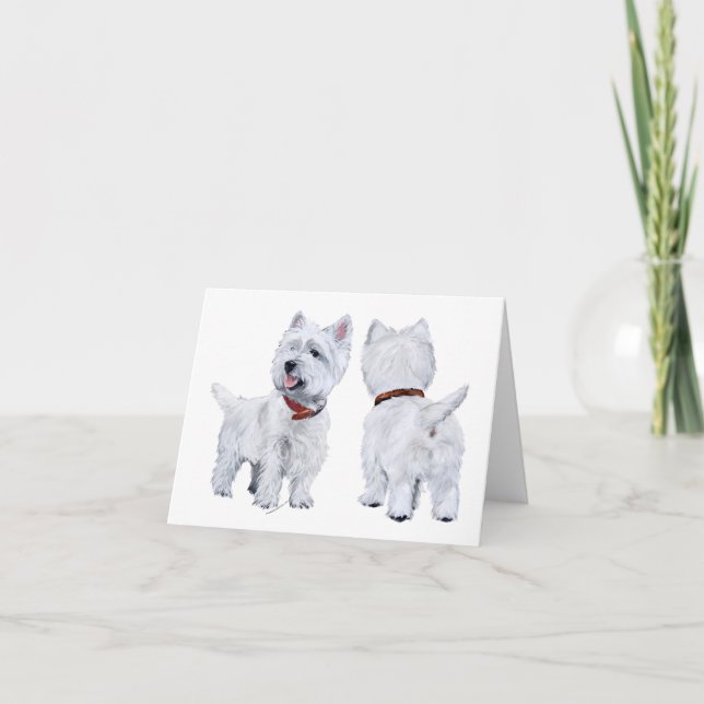 West Highland White Terrier Kort (Framsida)