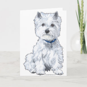 West Highland White Terrier Kort