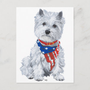 West Highland White Terrier Patriotisk Vykort