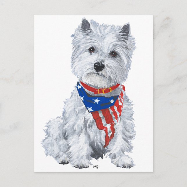 West Highland White Terrier Patriotisk Vykort (Framsida)