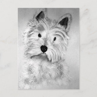 West Highland White Terrier Postcard Vykort