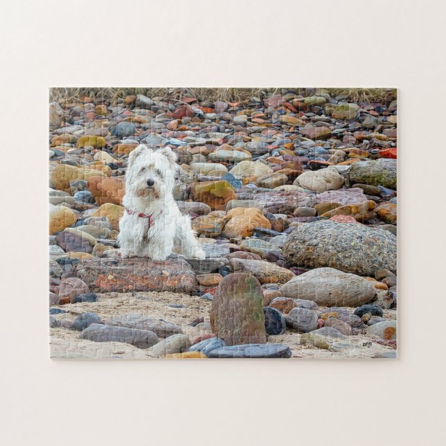 West Highland White Terrier Pussel (Horisontell)
