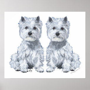 West Highland White Terrier-tvillingar! Poster