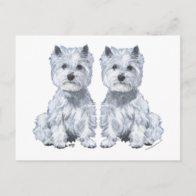 West Highland White Terrier-tvillingar! Vykort (Framsida)