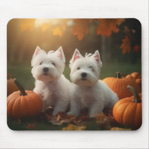West Highland White Terrier Valp Höst Pumpa Musmatta