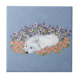 West Highland White Terrier Vila Kakelplatta