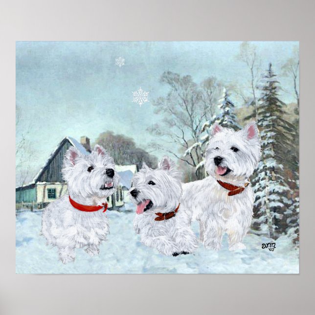 West Highland White Terriers i snön Poster (Framsidan)