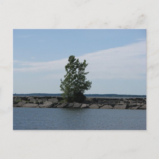 Westcott Bay Vykort (Framsida)