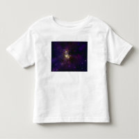 Westerlund 2, ett ungstjärnkluster
