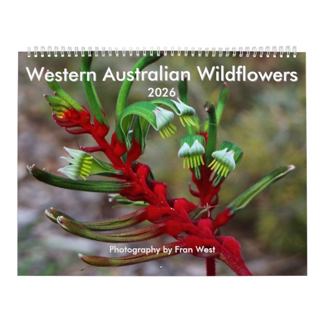 Western australisk Wildblomma 2026-kalender Kalender (Omslag)