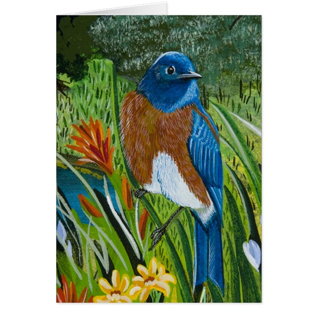 Western blåfågel hälsningskort (Framsidan)