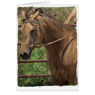 Western Buckskin Horse Hälsningskort