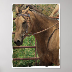 Western Buckskin Poster