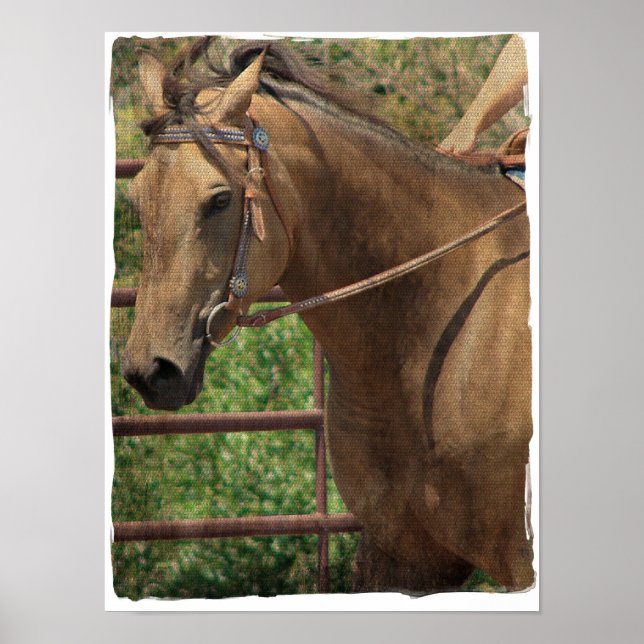 Western Buckskin Poster (Framsidan)