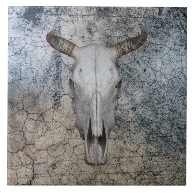 Western Bull Cow Cattle Skull   Kakelplatta (Framsidan)