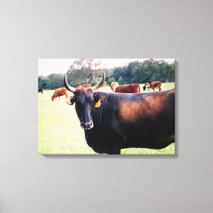 Western Bull Cow i fält på betesarbetad kanvas
