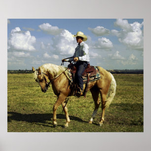Western Cowboy på Palominohäst Poster
