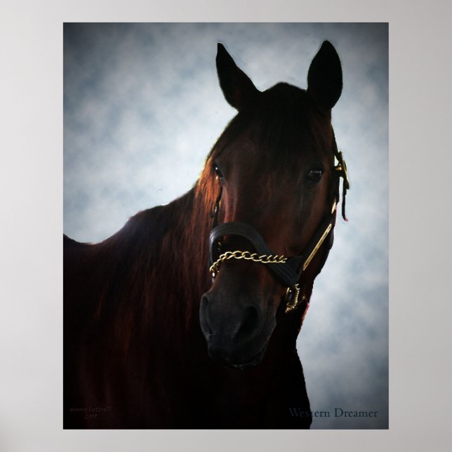 Western Dreamer Poster (Framsidan)