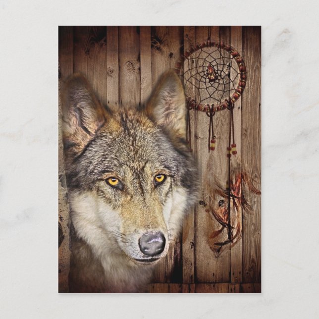 Western dröm catcher den inhemska indian-vargen vykort (Framsida)