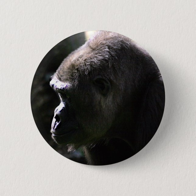 Western gorilla för Lowland Knapp (Framsida)