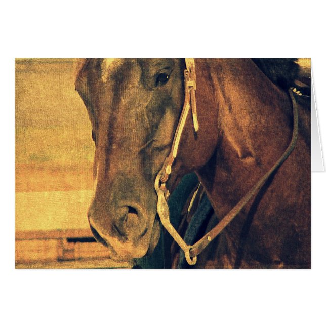 Western häst hälsningskort (Framsidan Horizontal)