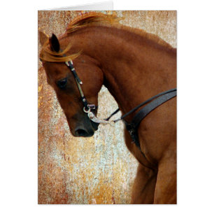 Western Horse Sorrel Grunge Hälsningskort