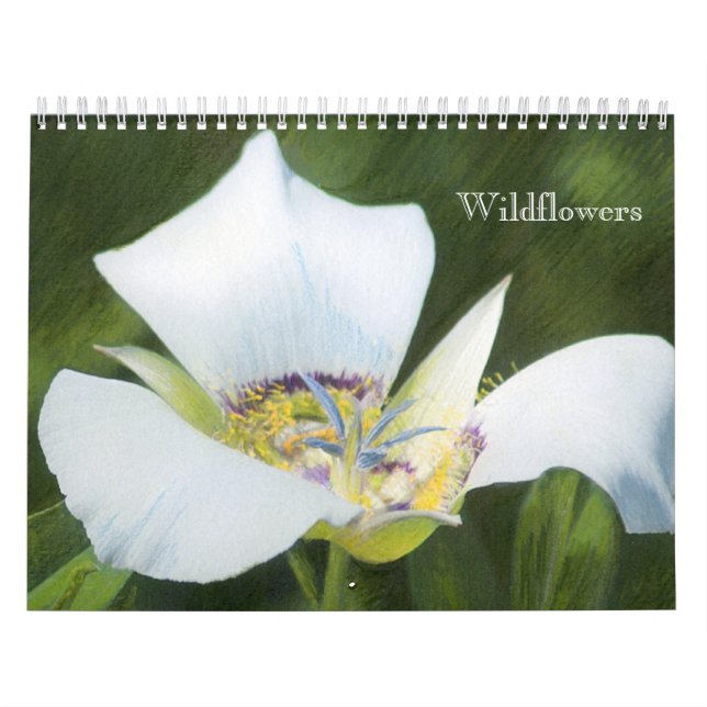 Western kalender för CO-vildblommateckningar (Omslag)