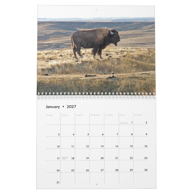 Western Kansas buffel Kalender (Jan 2027)